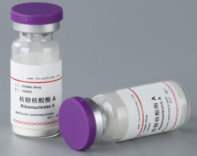 China Os materiais de consumo do laboratório da pureza de 99% pesquisam o Ribonuclease do reagente uma enzima 10mg/tubo de ensaio à venda