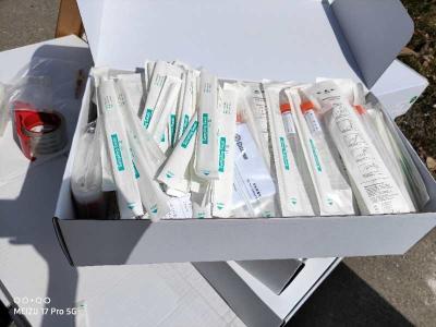 China Consumables Disposable Sampling Swab For Nasal Throat Sample Sterile Packing for sale