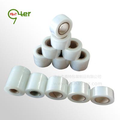 China Waterproof Clear PE Stretch Tape Graft Tape For Branch Plant Fruit Wrapping Nursery Grafting Tape Stretch Film Roll for sale