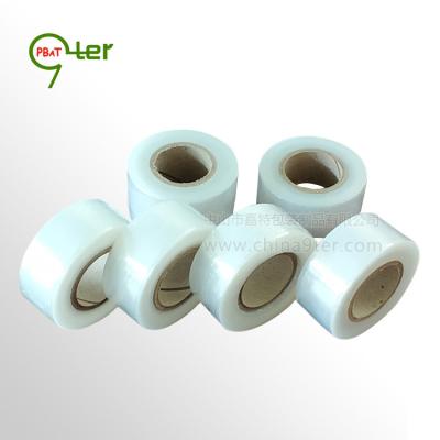 China Waterproof PE grafting tape w30 small stretch film roll clear stretch tape for branch plant fruit wrapping nursery grafting tape for sale