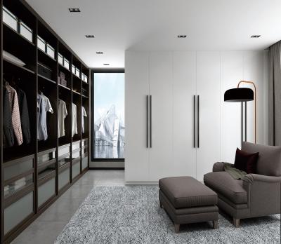 China Customized Modern Aluminum Wardrobe Anti-insect And Moisture For Living Room for sale