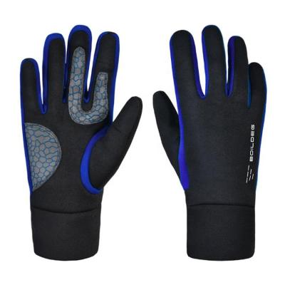 China Custom Sport Gloves Winter Team Sport Running Gloves Hand Protective Gloves For Bikes for sale