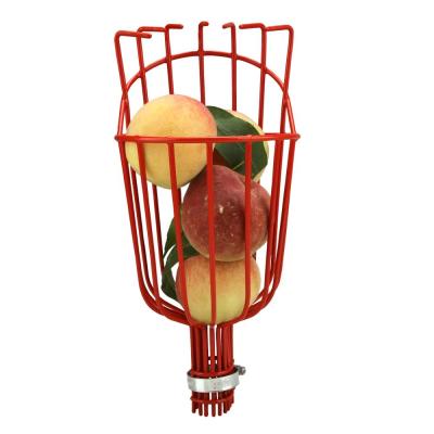 China Lightweight Xinxing Iron Metal Fruit Harvester Basket For Picking Persimmon Berry Garden Hand Tools for sale