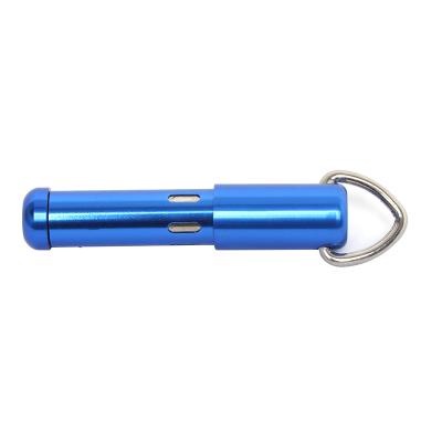 China Normal Stainless Steel Mini Ballpoint Key Ring Pen Telescoping Key Ring Pen for sale