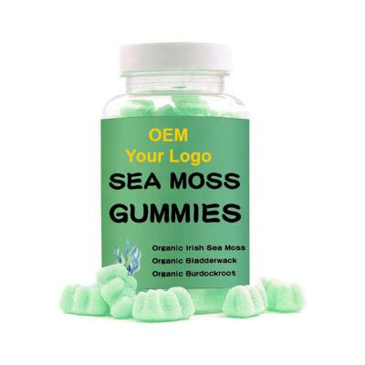 China Common Wholesale Sea Beauty Products Moss Gummies Irish Sea Moss Gummies for Immune System for sale