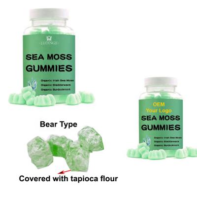 China immune & Common Wholesale Sea Anti Fatigue Moss Gummies Irish Sea Moss and Bladderwrack Gummies for Immune System Counts 60 for sale