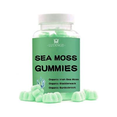 China Wild Crafted Irish Sea Moss Gummies For Support Immune System And Gummy Anti Aging Accept OEM Private Label for sale