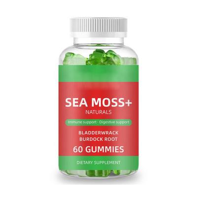 China Private Label Vegan Bear Sea Moss Gummies For Immune System Beauty Products 60 Counts Seamoss and Bladderwrack Gummies for sale