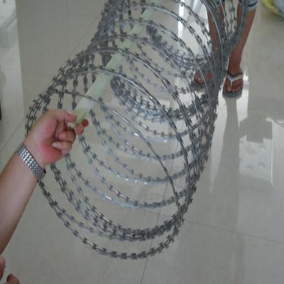 China Safety and security 2021 year hot sale razor wire hot dip galvanized razor wire sale to Africa for sale