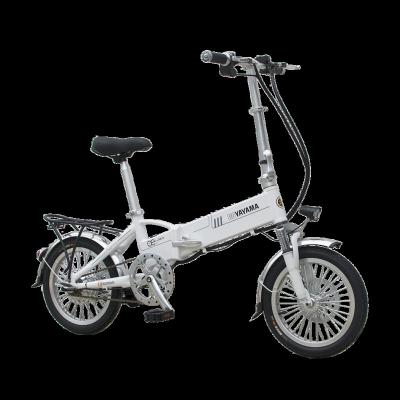 China Lithium electric aluminum alloy electric bike 240w 48v folding bicycle with pedal assist e bike /electric moped for sale