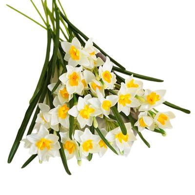 China New Products Daffodil Flower Wedding Durable Explosive Silk Flower Decorations Artificial Flowers for sale