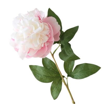 China Wholesale Durable Artificial Peony Rose Artificial Flower Decor Wedding Hotel Silk Flowers for sale