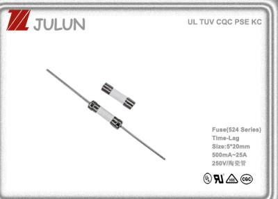 China 250VAC Ceramic Tube Time Lag Miniature Fuse For Lighting Industry for sale