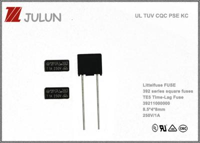 China Van het de Slag Radiale Lood van NTS de Vierkante Langzame Subminiature Zekering 2.5A 250V Te koop