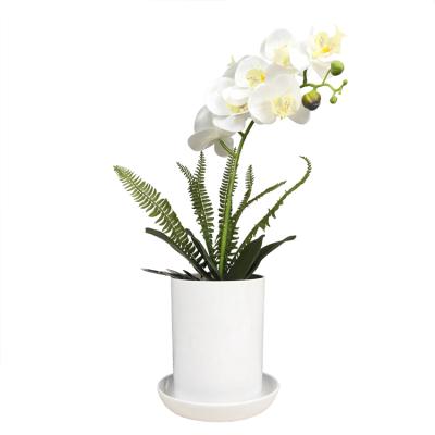 China modern workmanship classic plastic desktop flower pot for home decoration for sale