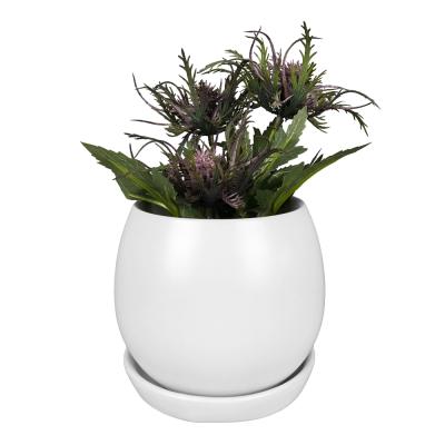 China Modern Custom Indoor Decorative Cactus Succulent Planter Ceramic Flower Pots With Tray for sale