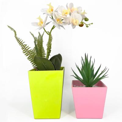 China Modern special custom made colorful plastic flower pot for home decoration for sale