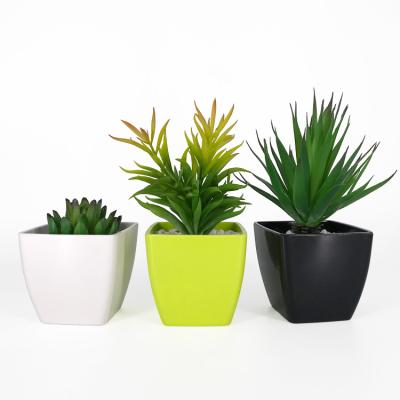 China Wholesale Modern Plastic Indoor Mini Succulent Cactus Decorative Bonsai Planter for sale