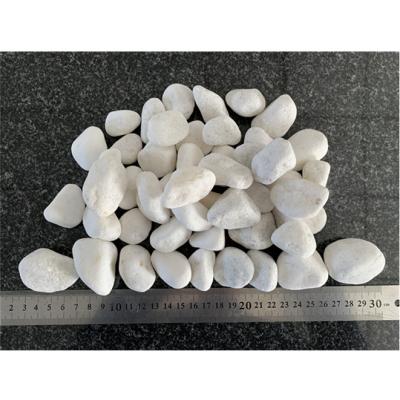 China Natural Snow White Pebble 3-5cm Modern Washed Loose Stones for sale