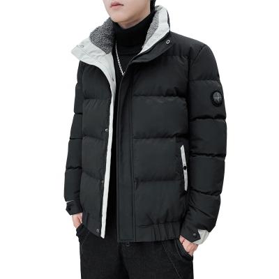 China Viable Warm Type 100% Polyester Work Casual Wear Collar Men's Thick Winter Coats Comic Design Windproof for sale