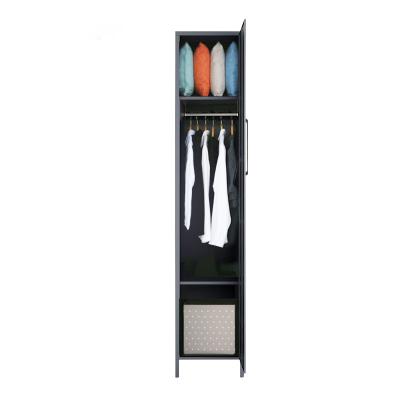 China Eco-friendly morden design narrow single door locker metal cabinet locker for home use for sale