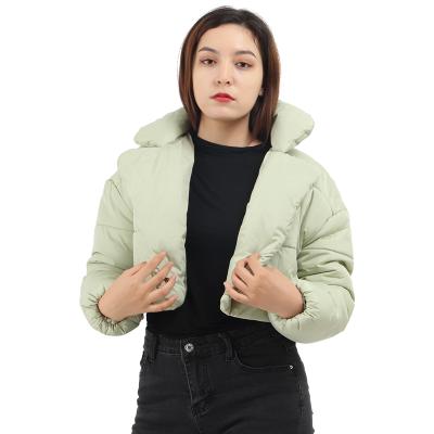 China Winter Waterproof Women's Clothing Crop Warm Stripper Coat For Women Down Trend Raincoat Windproof Casual Upper Warm Outdoor Short New Jackets for sale