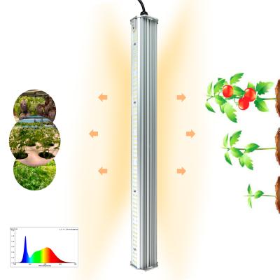 China Wholesale Light Double Sided 2ft 60w Plant Growth Led Vegetable Vertical Farm Grow Lights for sale