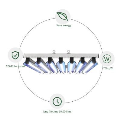 China China energy efficient plant best seller small indoor aeroponics aquaponics grow hydroponics vertical system led strip growlights for sale for sale