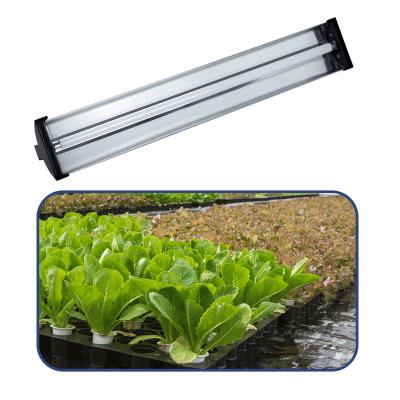 China Seed Starting Hot Sale EDJ T5 Fluorescence Veg Flower Led Grow Light For Plant Growth for sale