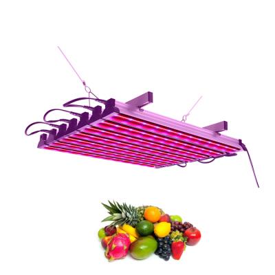 China Seed Seeding High Power Customizable Red&Blue Indoor Plants Grow Strip Lights for sale