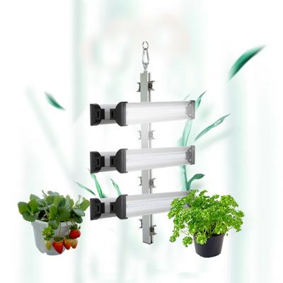 China Seed Starting EDK 48W LED Growing Light for Microgreens Lettuce Tomato Strawberry Growing for sale