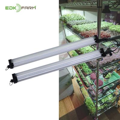 China Seed starting aquaponics garden greenhouse systems adjustable ip65 waterproof led aquarium hydroponic vertical spectrum led grow lights for sale