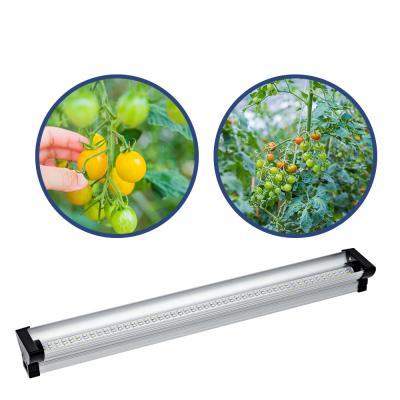 China Easy install vegetable grow light systems led grow light 6400k t5 led grow bulb light for sale