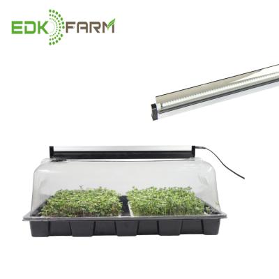 China With EDK/EDJ LA LED Grow Light Plant Material Wholesale Plant PVC Seedling Growing Tray For Vegetable Seeds Propagation for sale