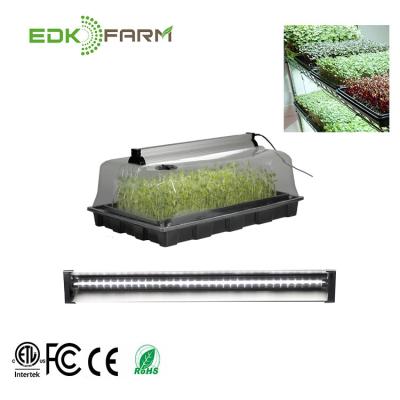 China Use With Led To Grow Light Cheap Flood Grass Mat Sponge Machine Forage Seedling Growing Hydroponic Tray for sale