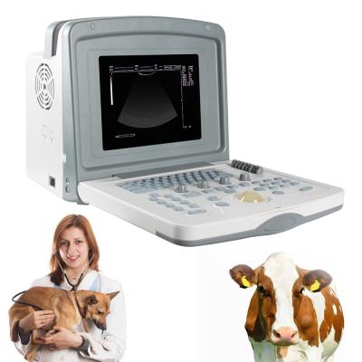 China NEW Ultimate Compact and Lightweight Design for Instant Transfer SINOHERO S880Prime- CHECK Animal Veterinary Ultrasound Machine Cheapest Portable Ultrasound Scanner for Pregnancy for sale