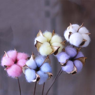 China Party Hot Selling High Quality Handmade Giant Dry Flower Rose Paper Flower CAWELL For Home Decoration Artificial Cotton Dry Flower for sale