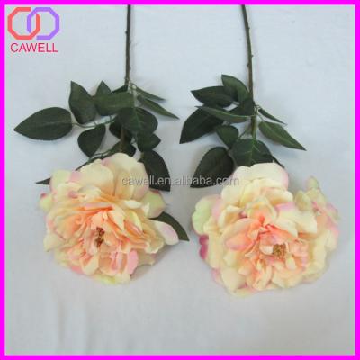 China Single stem silk artificial bush preserved peony flower Single stem silk artificial bush preserved peony flower for sale