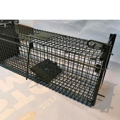 China Sustainable Easy To Set Rat Trap Cage No Kill Trap For Mice And Small Animals Trap For Foxes for sale