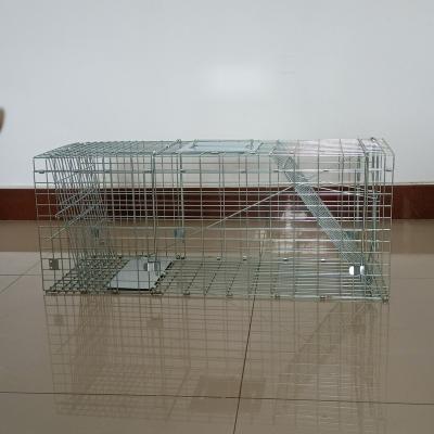 China Viable Metal Mouse Trap Cage Humane Live Trap Pest Rodent Rat Mice Control Cage Bait for sale