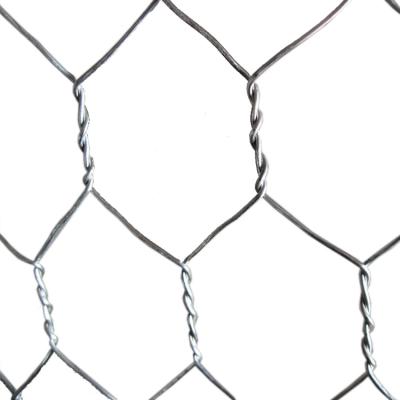 China Protection Panama Price Chicken Wire Crab And Fish Trap Catching Hexagonal Wire Mesh Poultry Wire Mesh for sale