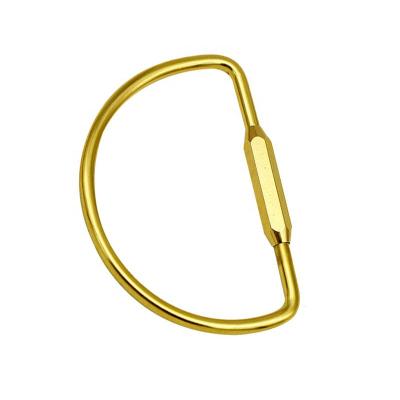 China Brass Key Hooks / Key Ring /Outside Key Ring Solid D Shape Small Metal Key Ring Outdoor Swivel Key Hooks Holder for sale