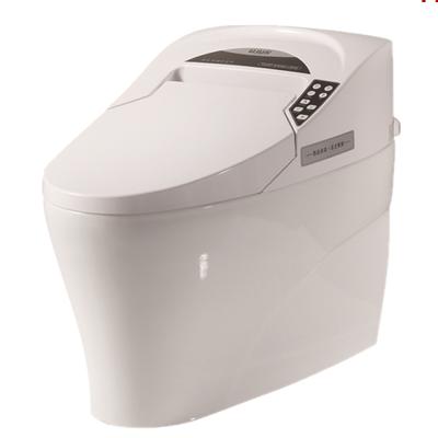 China Automatic Operation 735D Smart Wc Smart Toilet Automatic Self-clean Toilet Seat for sale