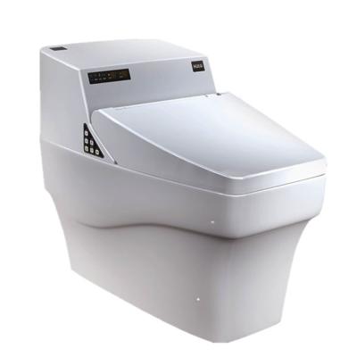 China 753D Electronic Intelligent Sanitary Ware Intelligent Smart Toilet Automatic Flushing Toilet Seat for sale