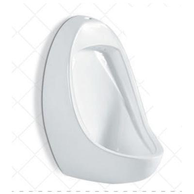 China Modern Ceramic Wall Hung Urinal Bathroom Water Urinal Bowl 507 for sale