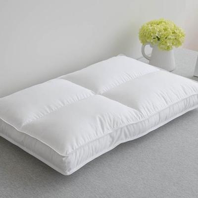 China Microfiber Viable Hypogene Comfortable Scientific Natural Function Pillows Multifunctional Microfiber Pillow Pillow for sale