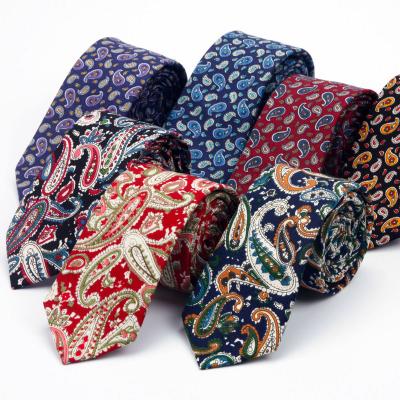 China OEM Comfortable Mens Tie And Pocket Squares Set Ready To Ship Cotton Paisley Necktie for sale