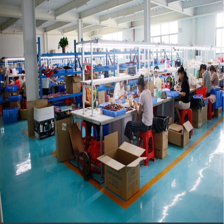 Verified China supplier - Luyi Znybeauty Cosmetics Co., Ltd.