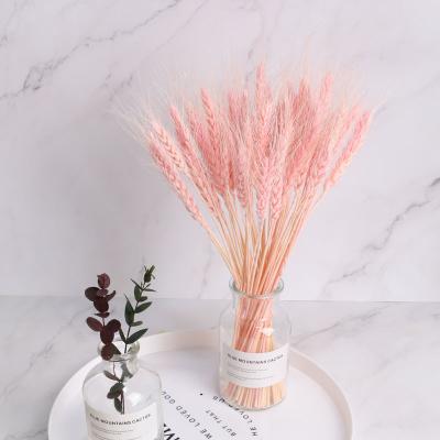 China Amazon Realistic Hot Sale Dried Wheat Spike Soft Wheat 50pcs For Mall Decoration for sale