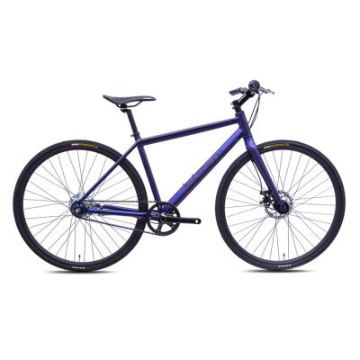 China Ansbern 700C Steel Belt Drive 7 Speed ​​City Star Bike Fashionable Road Bicycle for sale